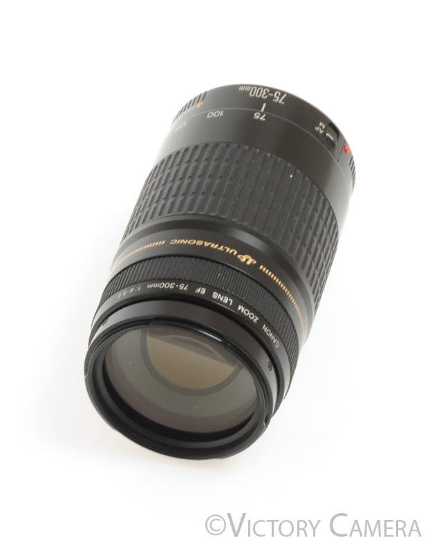 Canon EOS EF 75-300mm f4-5.6 USM Telephoto Zoom Lens