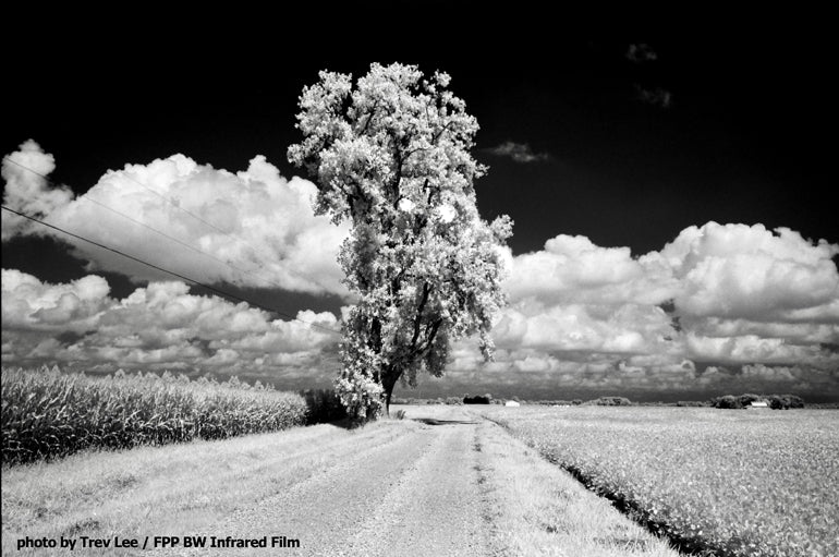 Film Photography Project FPP 35mm Black &amp; White Infrared Film 24 exp.